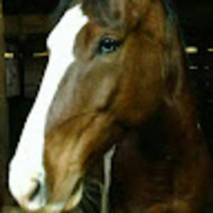 Meet your Posher, Lorraine